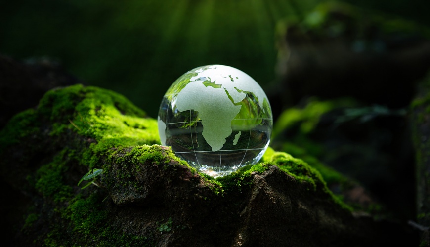 Ensuring Additional Revenue to National Chambers of Business