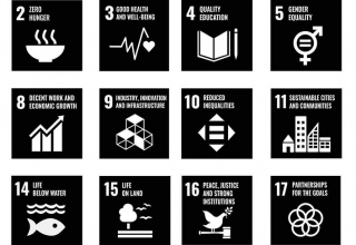 ICBEC support the UN SDG in Government and Corporate Sector