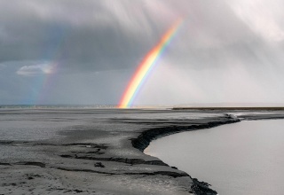 ICBEC Economic, Environmental, Educational and Social Impact