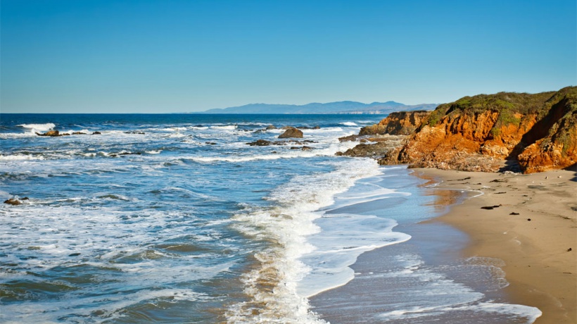 Green Trade for healthy planet 