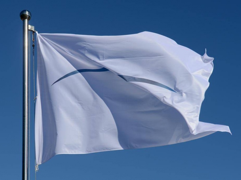 Eliminating Green Washing Policy