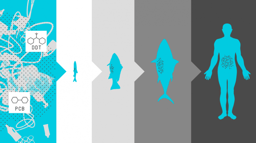 Minimising the Micro/Plastic in Ocean
