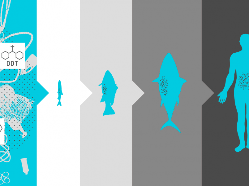 Minimising the Micro/Plastic in Ocean