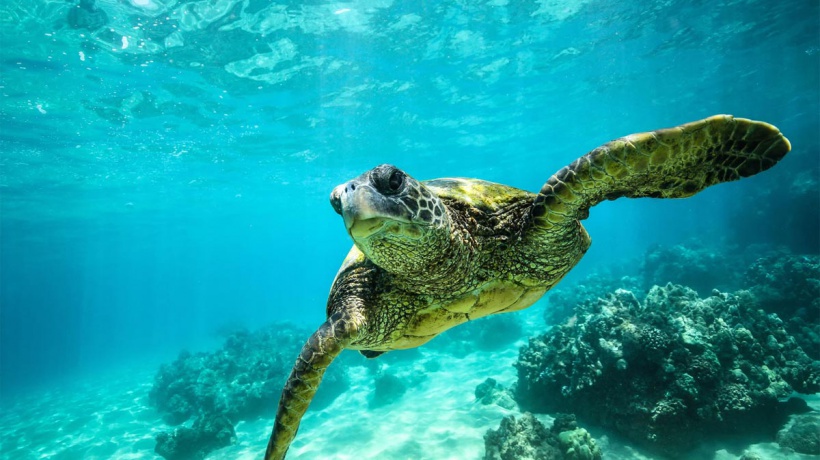 ICBEC Socio -Cultural Impact 