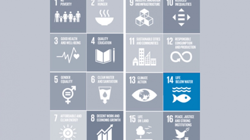 Global UN SDG Alignment 