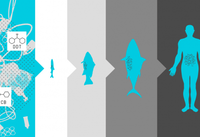 Minimising the Micro/Plastic in Ocean