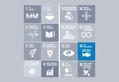 Global UN SDG Alignment 